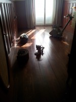 /album/portefolio-/a26-09-telefone-127-jpg/